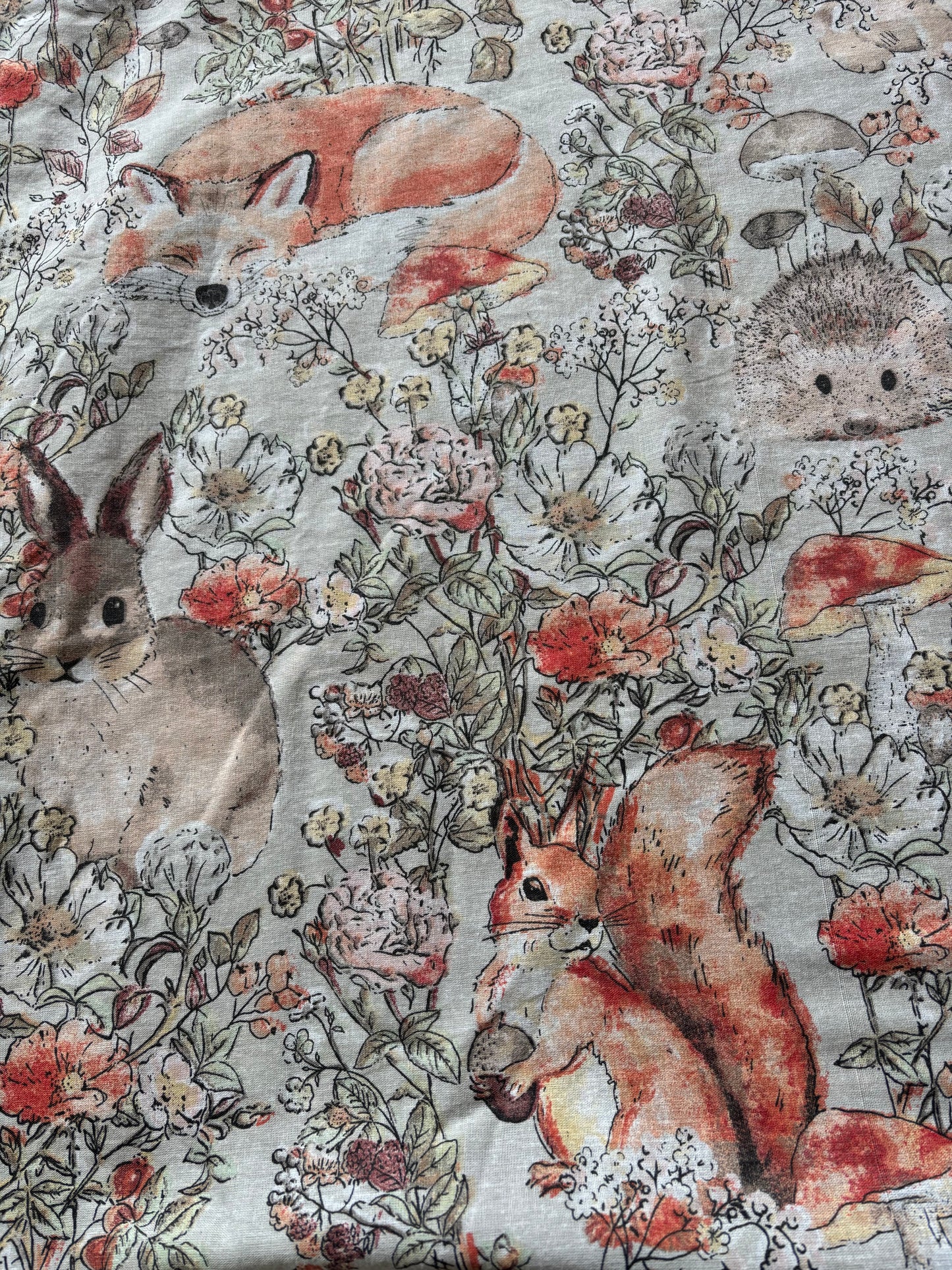 Woodland animals