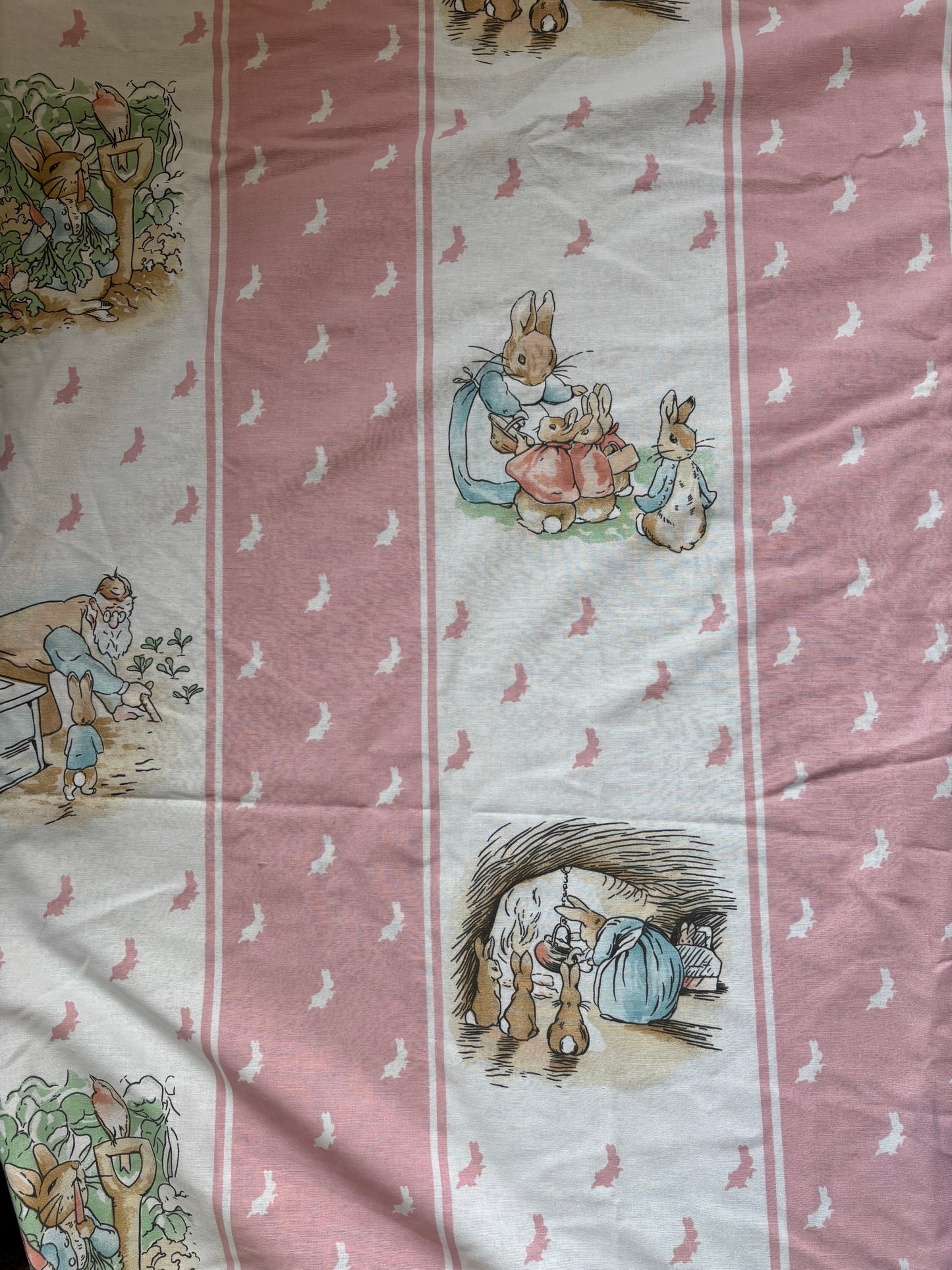 Beatrix potter large print